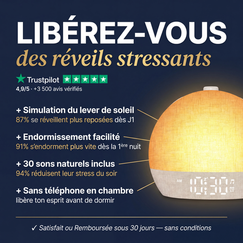 Réveil Simulateur d'Aube — Zenoria